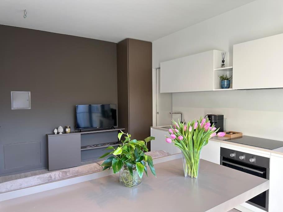 Riva 17 Apartment Lugano Exterior photo